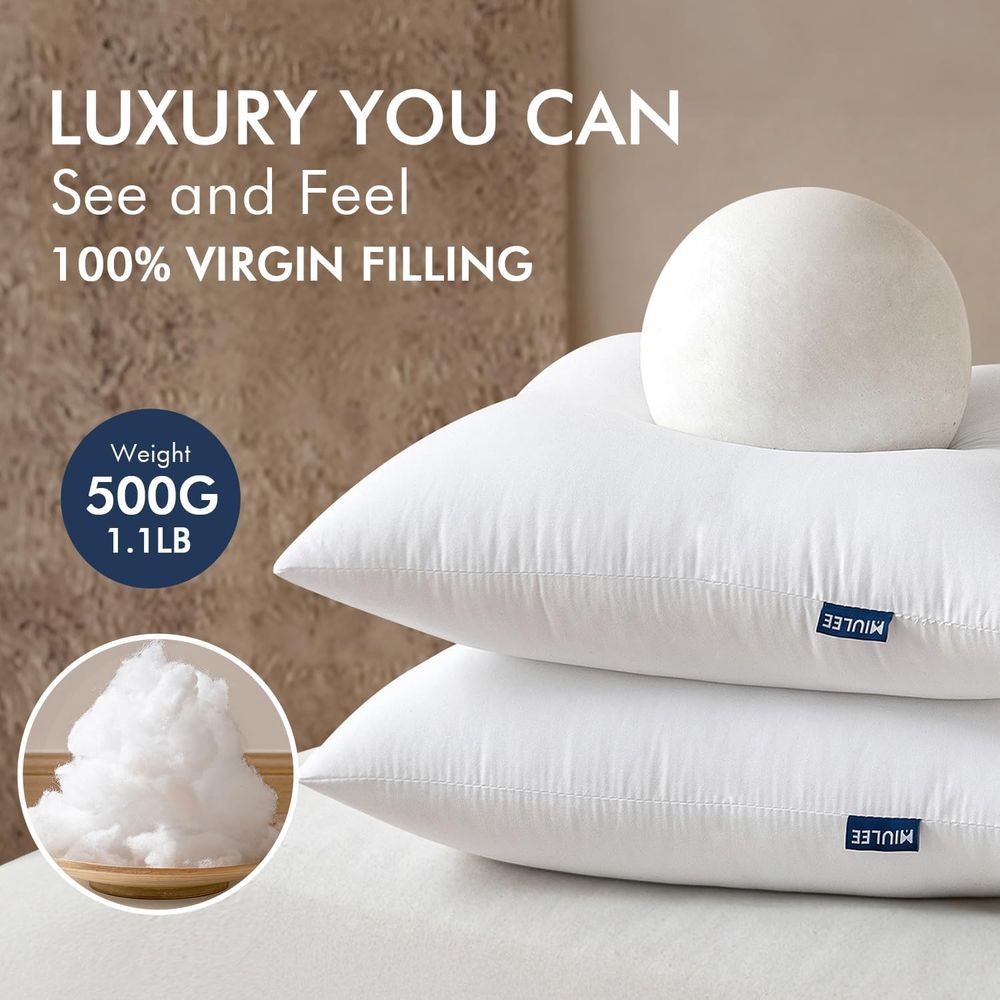 Isian Bantal Hias, Paket 2 Bua - Pillow Insert 18X18 ulasan dan harga